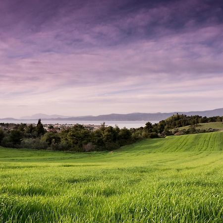 Topalidi`S Home Nea Palatia Esterno foto